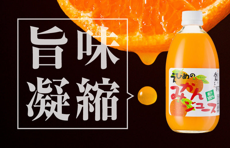 愛媛のみかんジュース(伯方果汁) 果汁100% 500ml×12本